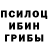 Псилоцибиновые грибы прущие грибы TheStepn