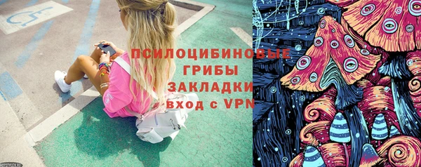 спиды Абаза